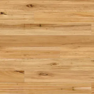 Australian Native Square Swatch Blackbutt Rustic 300×300