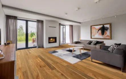 Australian Native Website Spotted Gum E1679611396965