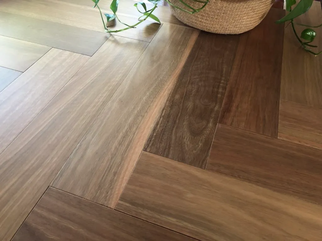 Australian Native Herringbone Spotted Gum 1024×768