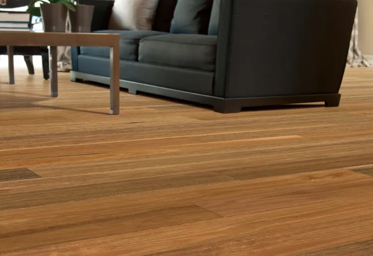 Australian Native Website Spotted Gum